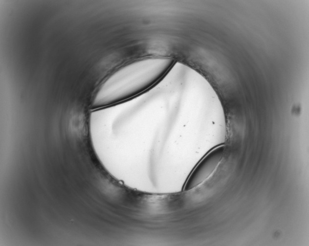 X0000102000136200808151456