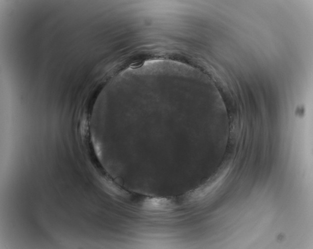 X0000102000137200808151456