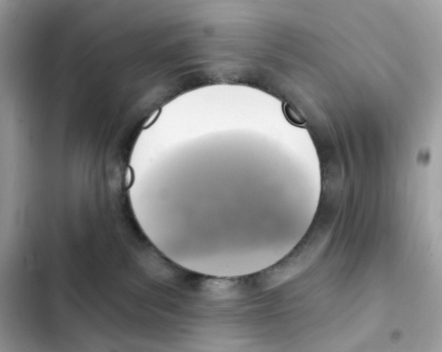 X0000102000139200808151456