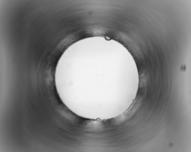 X0000102000140200808151456