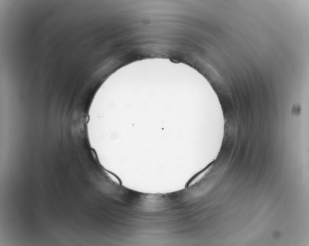 X0000102000141200808151456