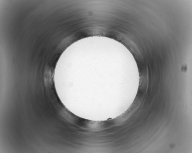 X0000102000142200808151456