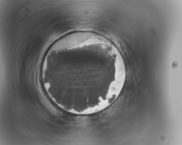 X0000102000145200808151455