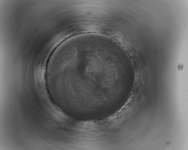 X0000102000146200808151455