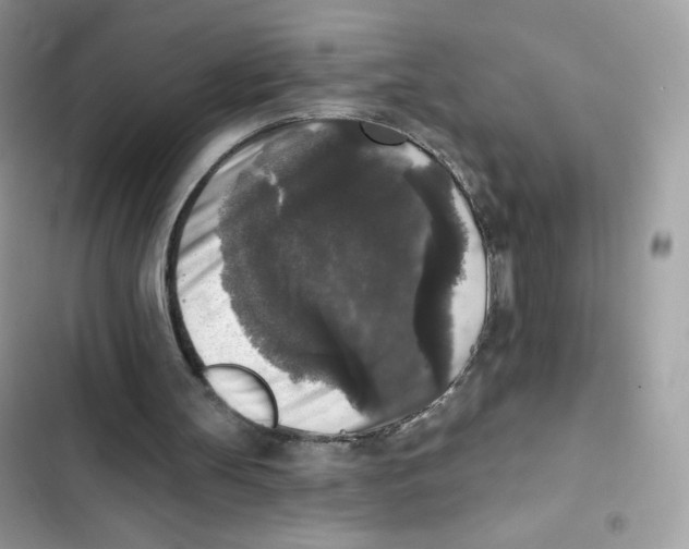 X0000102000147200808151455