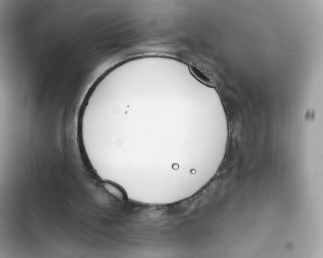 X0000102000148200808151455