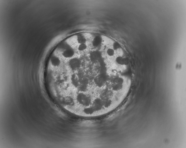 X0000102000149200808151455