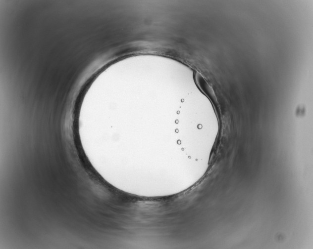 X0000102000150200808151455