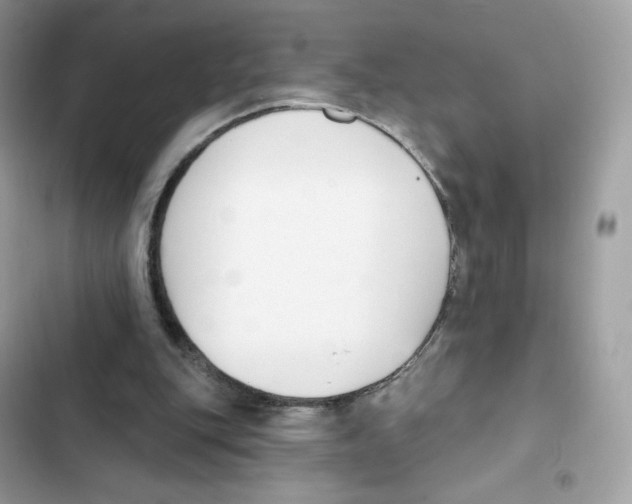 X0000102000151200808151455