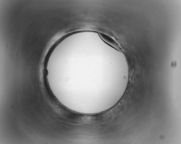 X0000102000152200808151455