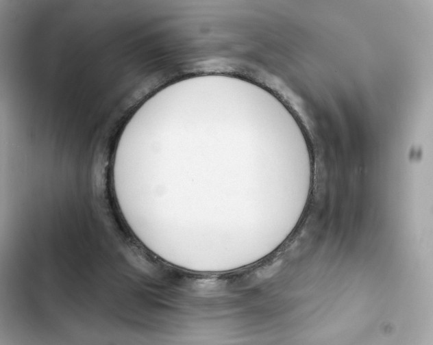 X0000102000153200808151455