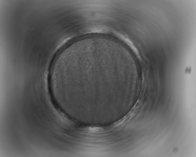 X0000102000154200808151455