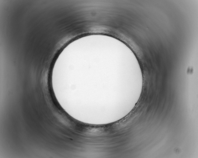 X0000102000155200808151455