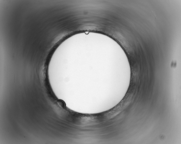 X0000102000160200808151455