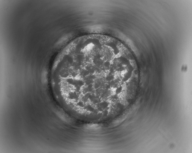 X0000102000161200808151455