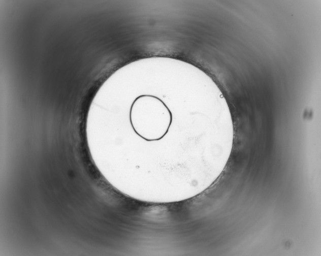 X0000102000162200808151456