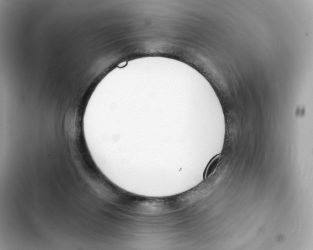 X0000102000164200808151456