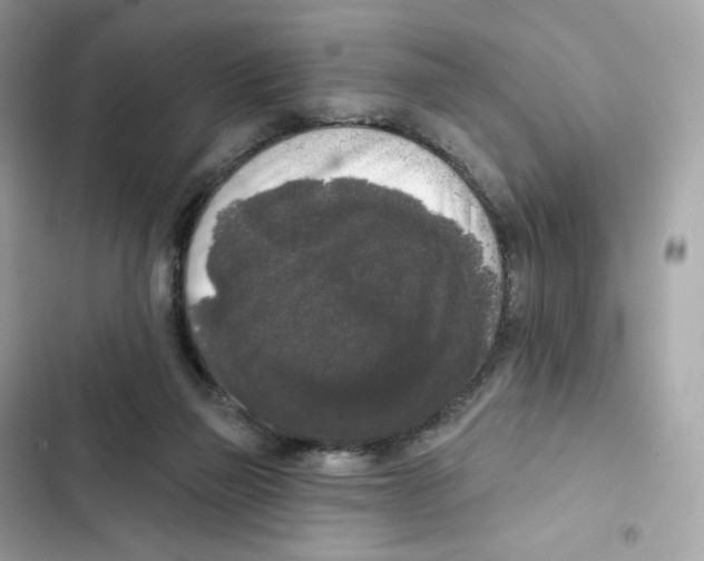 X0000102000165200808151456