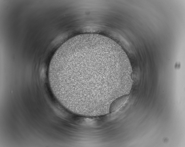 X0000102000166200808151456