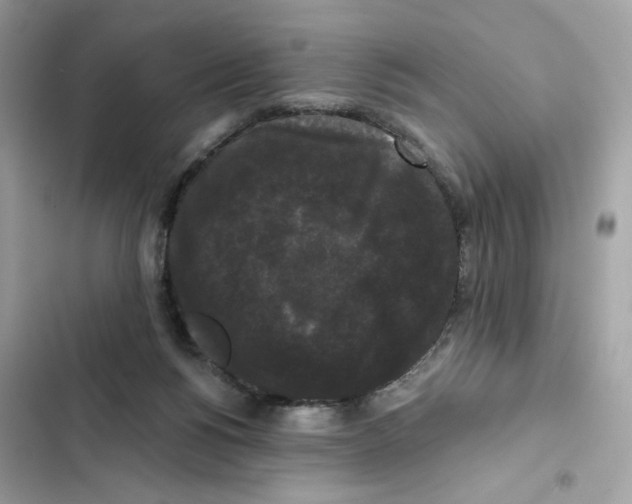 X0000102000168200808151456