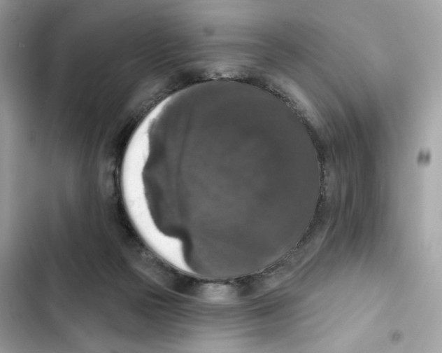 X0000102000169200808151456