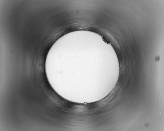 X0000102000170200808151456