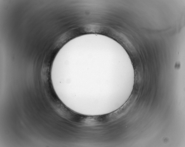 X0000102000171200808151456