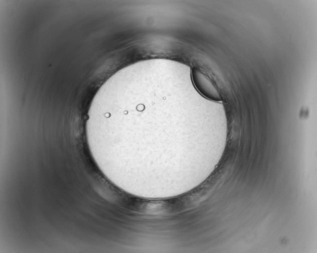 X0000102000173200808151456