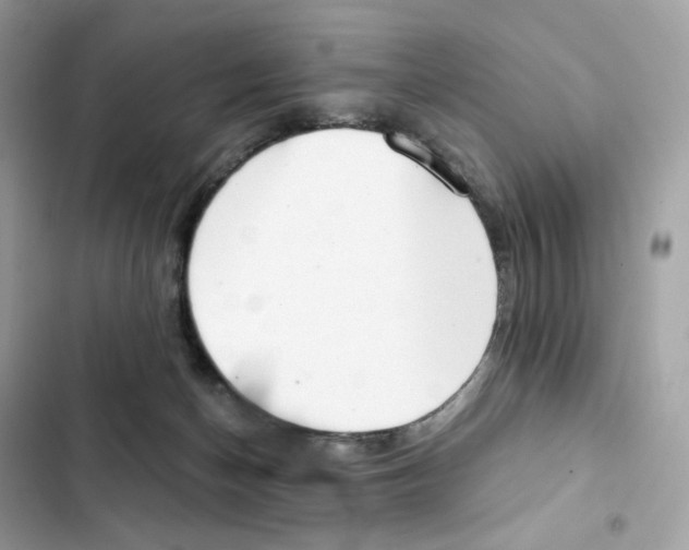 X0000102000174200808151456