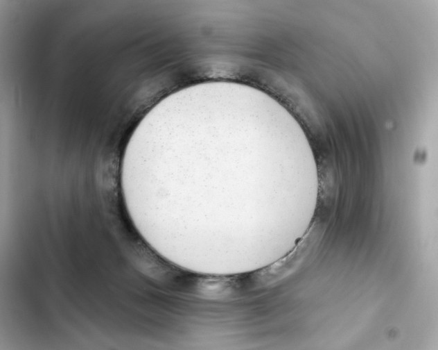 X0000102000175200808151456