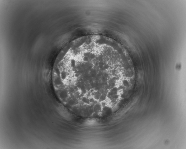 X0000102000177200808151456