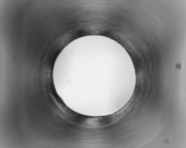 X0000102000178200808151456