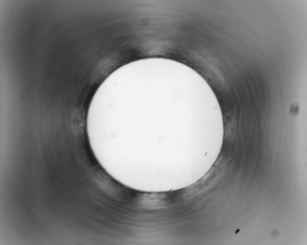 X0000102000179200808151456