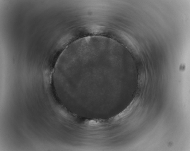 X0000102000180200808151456