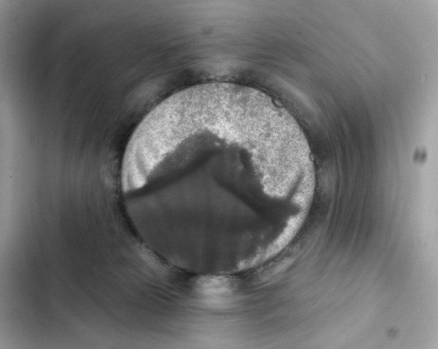 X0000102000181200808151456