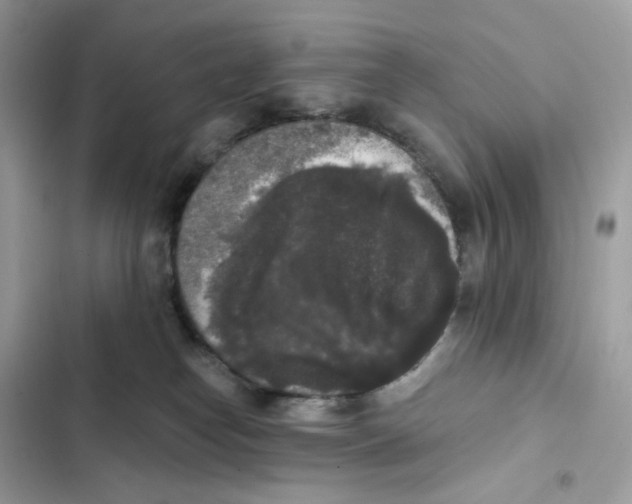 X0000102000182200808151456