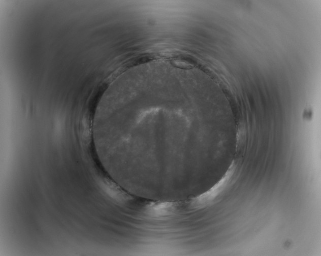 X0000102000186200808151456