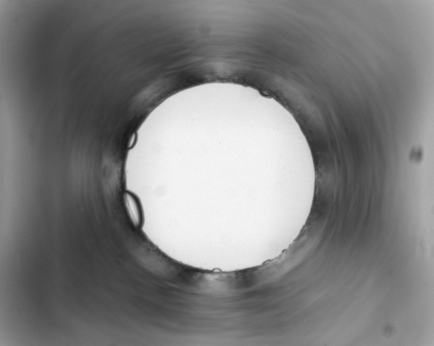 X0000102000188200808151456