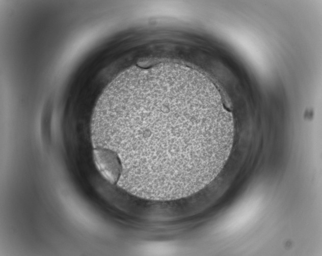 X0000102000189200808151456