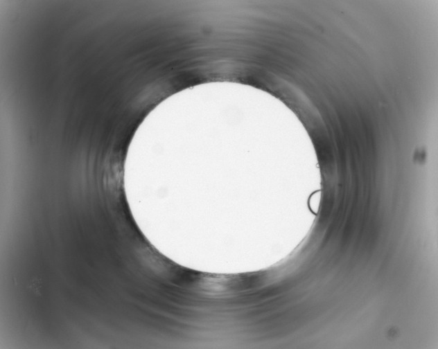 X0000102000190200808151456