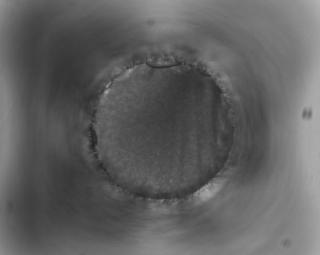 X0000102000192200808151456