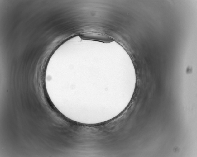 X0000102000193200808151455