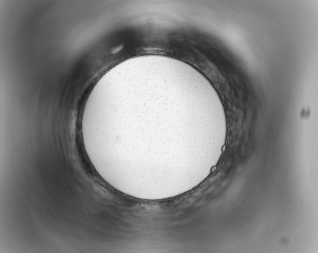 X0000102000194200808151455