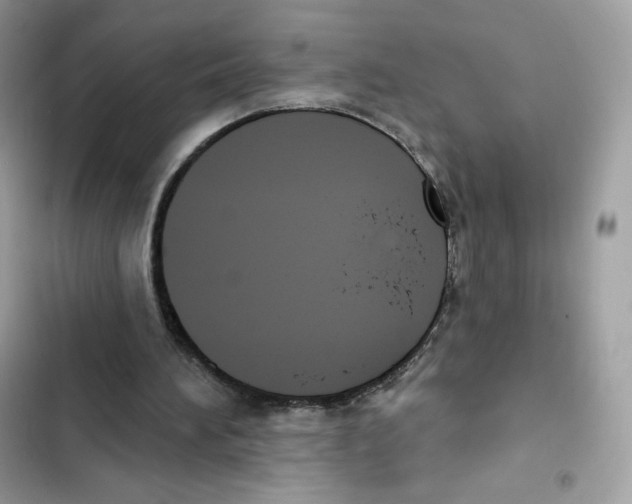 X0000102000196200808151455