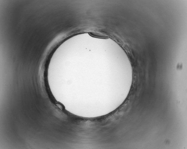 X0000102000197200808151455