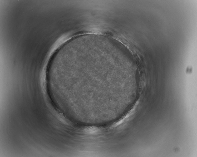 X0000102000198200808151455