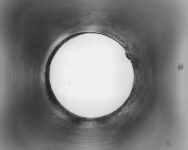 X0000102000200200808151455