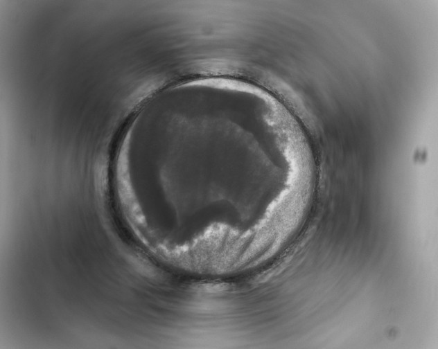 X0000102000202200808151455