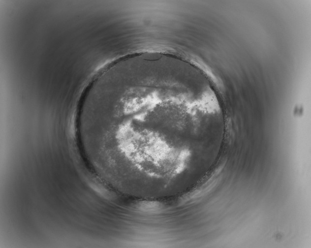 X0000102000203200808151455