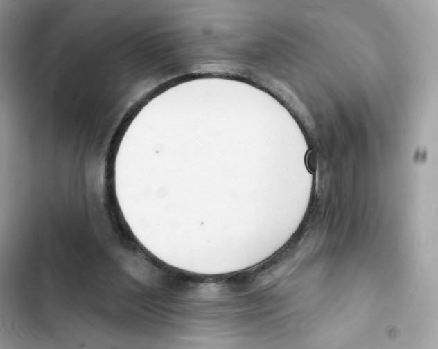 X0000102000204200808151455